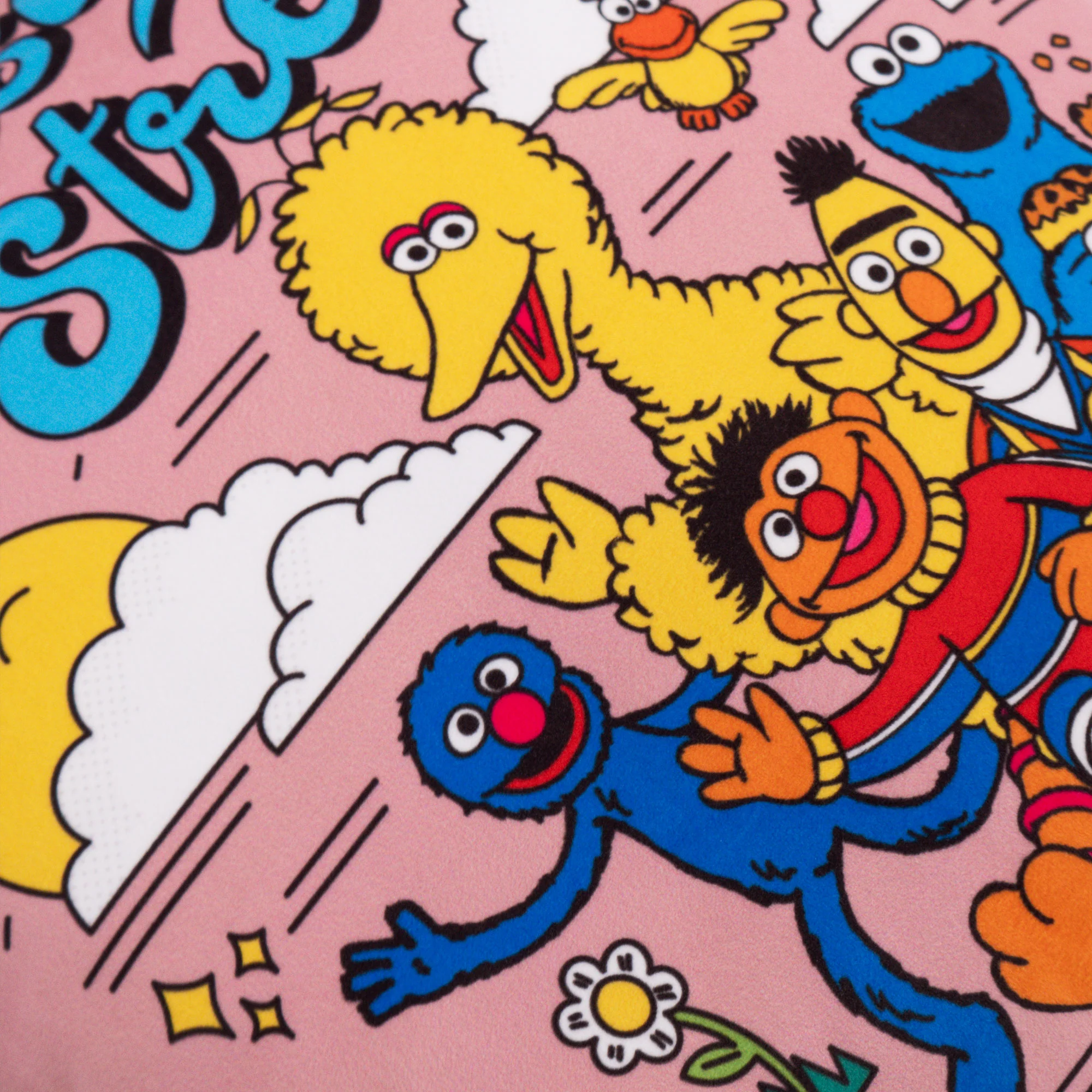 Kuddfodral 47 x 47cm - Sesame Street Since 1969 - Image 3